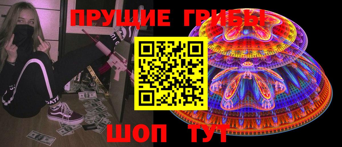 Псилоцибиновые грибы Psilocybine cubensis Усть-Джегута